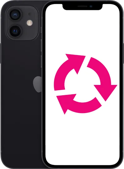 Apple iPhone 12 (begagnad) 64 GB